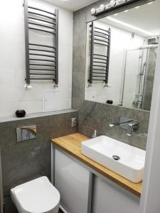 La salle de bains est pourvue d'un lavabo, de toilettes et d'un miroir. dans l'établissement Apartament pod Szóstką, à Duszniki-Zdrój