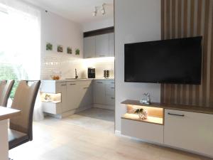 TV a/nebo společenská místnost v ubytování Apartament Zielone Wzgórze