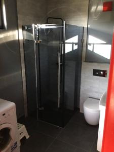 a bathroom with a shower and a toilet at Marzeniec w Beskidzie Niskim in Wapienne
