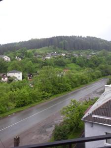 Příroda nedaleko motelu