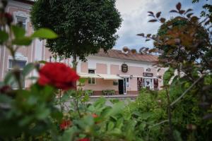 Vonkajšia záhrada v ubytovaní Körös Panzió és Étterem