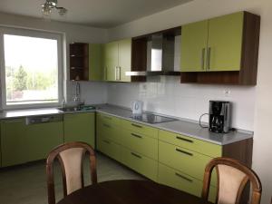 una cocina con armarios verdes, una mesa y una ventana en Apartmán Krásná vyhlídka, en Dolní Benešov