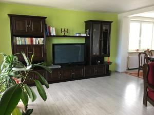 a living room with a television and a green wall at Apartmán Krásná vyhlídka in Dolní Benešov