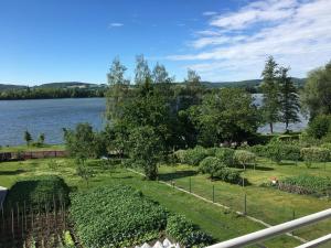 un jardín con un lago en el fondo en Apartmán Krásná vyhlídka, en Dolní Benešov