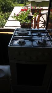 a stove top with a pot of flowers on a porch at Appartment Bezenica in Dobrova