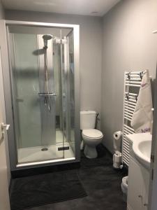 La salle de bains est pourvue d'une douche en verre et de toilettes. dans l'établissement Calme & Accueillant, à Grandfresnoy