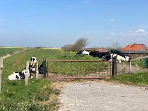 Galeriebild der Unterkunft Apartment Nummer 5 in Aurich