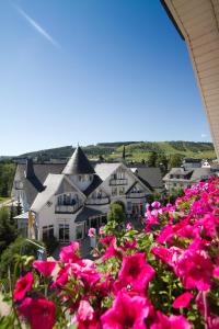 a bunch of pink flowers in front of a house at Park Resort in Willingen