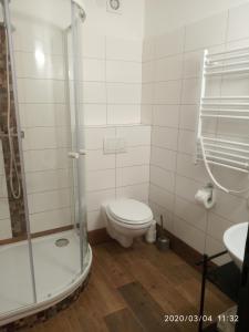 a white bathroom with a toilet and a shower at Penzion Villa Marion in Mariánské Lázně