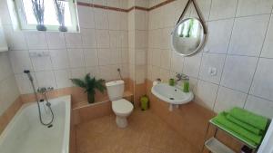 ein Badezimmer mit einem WC, einem Waschbecken und einem Spiegel in der Unterkunft Apartament Jeleń in Hajnówka