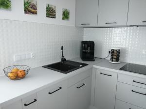 Kuchyňa alebo kuchynka v ubytovaní Apartament Zielone Wzgórze
