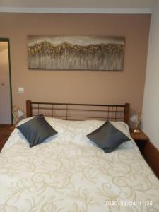 ein Schlafzimmer mit einem Bett mit zwei Kissen darauf in der Unterkunft Penzion Villa Marion in Marienbad