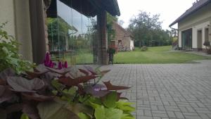 Zahrada ubytování Studio pro 2 osoby se samostatným vstupem