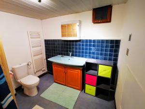 a small bathroom with a toilet and a sink at Loft sur Briançon et Serre Chevalier in Briançon +13 photos