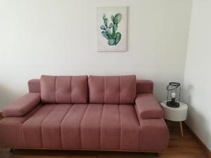 un sofá rosa en una habitación con cactus en APARTAMENT RELAX, en Ełk