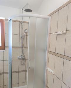 a shower with a glass door in a bathroom at Apartments Riba in Vis