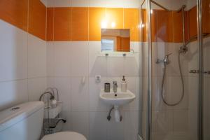 a bathroom with a shower and a toilet and a sink at U Robsona in Szklarska Poręba +18 photos