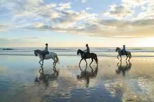 three people are riding horses on the beach at Rancho Santana in El Limón