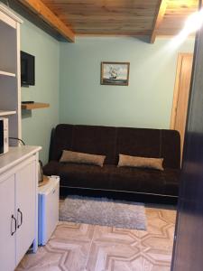 a living room with a brown couch in a room at Herkules Pokoje Noclegi Pieskowa Skała Ojców in Pieskowa Skała