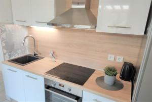 a kitchen with a sink and a stove at Apartments Riba in Vis