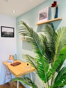 uma secretária de madeira com uma planta ao lado de uma parede em Superbe Studio Bis de 30m2 au Port de Vannes em Vannes