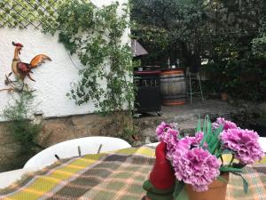 Ogród w obiekcie Cabaña rústica