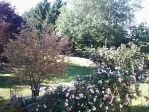 Gallery image of Les 3 Clés in Dossenheim-Kochersberg