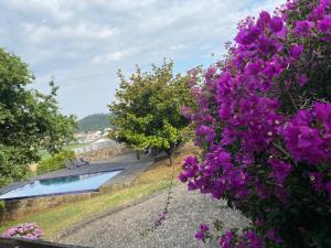 Afbeelding uit fotogalerij van Porto-Braga Country side - private swimming pool in Alvarelhos