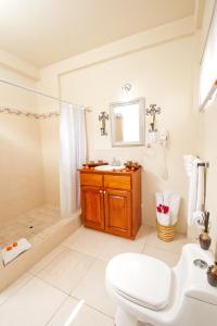 a bathroom with a toilet and a shower and a sink at Grooms Beach Villa & Resort in Saint Georgeʼs