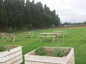 A garden outside La Masia