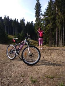Jízda na kole v ubytování Prázdninový dům Na Panorámě nebo okolí