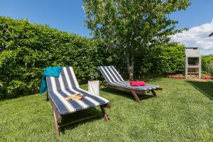 Zahrada ubytování Apartments Dama