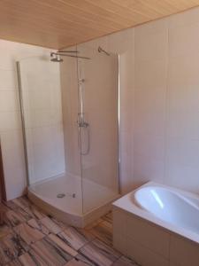 a bathroom with a shower and a bath tub at Ferienwohnung Linke "Grünblick" in Grimma +9 photos