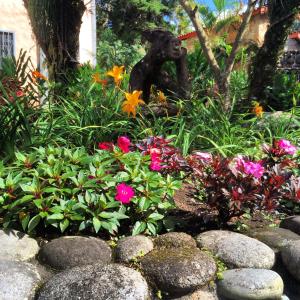 Jardí fora de The Inn at Palo Alto