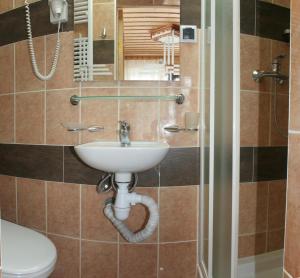 a bathroom with a toilet, sink, and shower stall at Casa del Pozitiff in Slavske