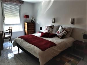 - une chambre avec un lit, une chaise et une fenêtre dans l'établissement Appartement FOCH à COLMAR, à Colmar