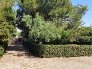 Zahrada ubytování Villa Cino