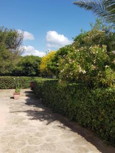 Zahrada ubytování Villa Cino