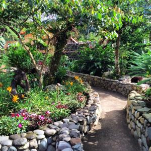 Jardí fora de The Inn at Palo Alto