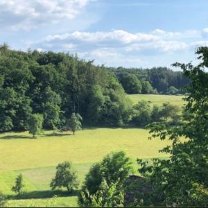 um grande campo verde com árvores ao fundo em Ferienhaus Hygge em Reichelsheim