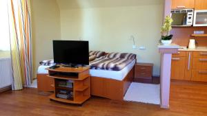 een kamer met een bank en een tv op een tafel bij Apartment 202 in Tatranská Lomnica