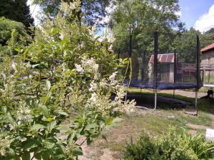 Zahrada ubytování Atlantis Apartmán 1