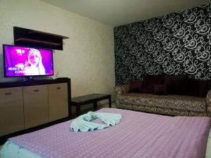 a bedroom with a bed with a tv on the wall at Апартаменты MANGO в парке имени Суворова in Kobryn