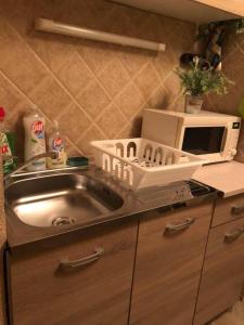 eine Küchentheke mit einer Spüle und einer Mikrowelle in der Unterkunft Neptun Apartman in Balatonföldvár