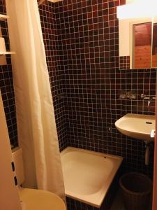 łazienka z toaletą i umywalką w obiekcie Aragon lodge w mieście Ernen