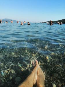 a group of people swimming in the water at Dena apartman Tivat in Tivat