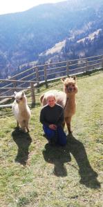 ホーホにあるFerienwohnungen am Pietschacherhofの羊二頭の野原にひざまずく女