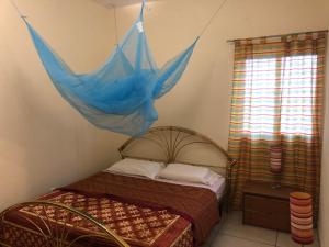 a bedroom with a bed with a blue net at VILLA MANGA in Yaoundé