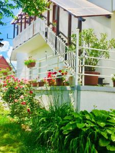 Zahrada ubytování Lelle-kert Apartman 01