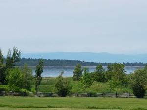 a grassy area with a lake and some trees at Motel des Mariniers in Kamouraska